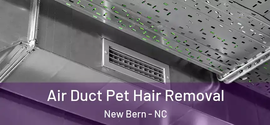  Air Duct Pet Hair Removal New Bern - NC