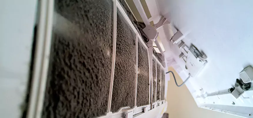 Preventive Air Duct Bacteria Removal in New Bern