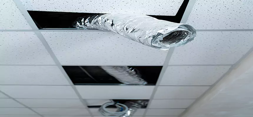 Affordable HVAC Sanitizing After Pest Removal in New Bern