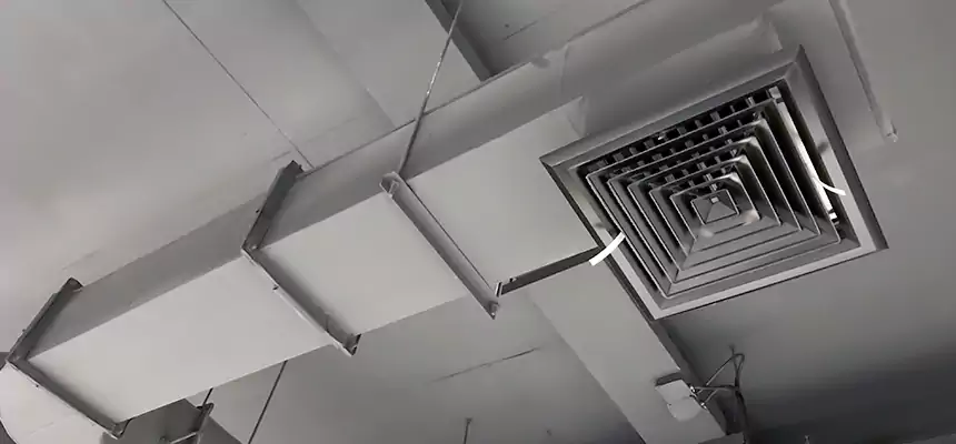 Our Pest Removal From Ducts Services in New Bern, NC