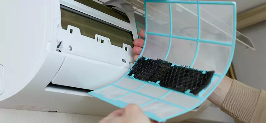 Gentle Ductwork Odor-Control Pet Dander Duct Cleaning in New Bern, NC