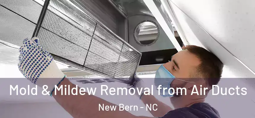  Mold & Mildew Removal from Air Ducts New Bern - NC