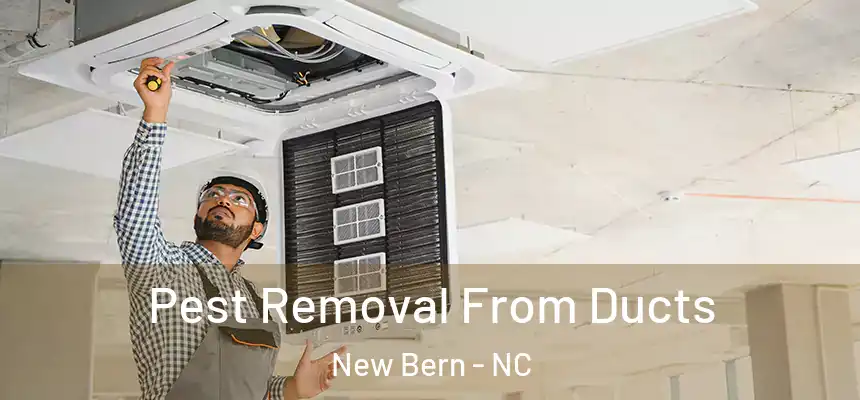  Pest Removal From Ducts New Bern - NC