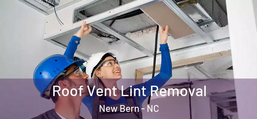  Roof Vent Lint Removal New Bern - NC