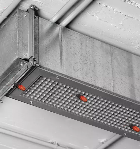 Affordable Insect Removal from Air Ducts in New Bern, NC