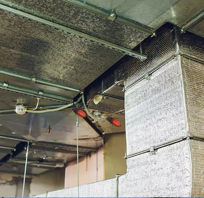 Why Homeowners & Businesses Trust Us in New Bern, NC?