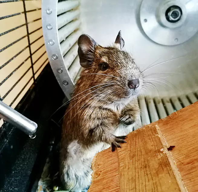 Why Homeowners & Businesses Trust Us New Bern, NC