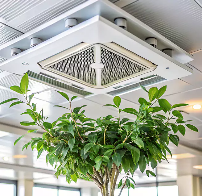 Why Homeowners & Businesses Trust Us in New Bern, NC